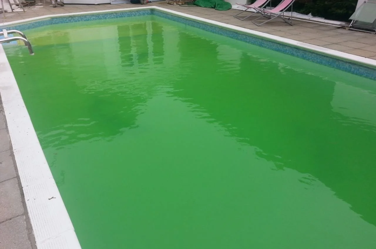 Yosun ve Mikrop Temizliği Neden Önemlidir?